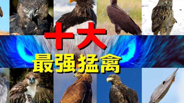 世体：特狮不排除随巴萨参加季前赛，以证明自己的水平